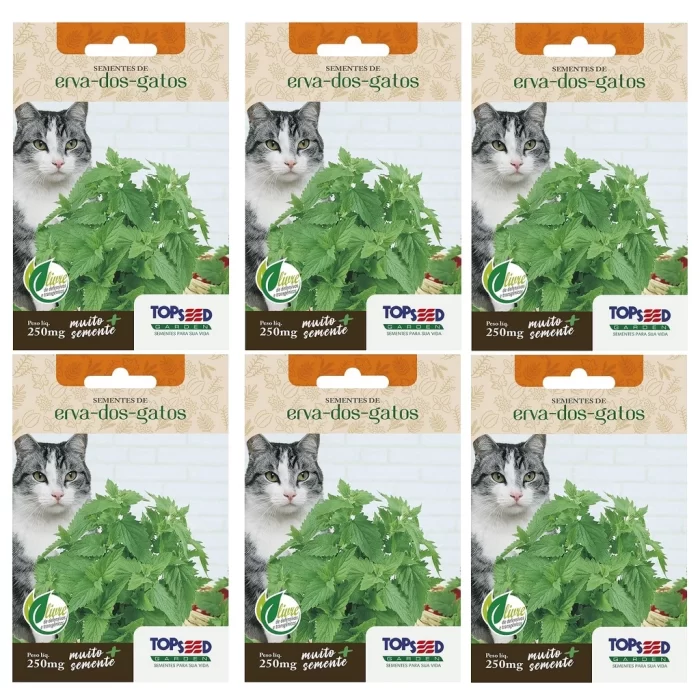 Pacote de 6X Sementes de Erva dos Gatos (Nepeta Cataria) Catnip TOPSEED.