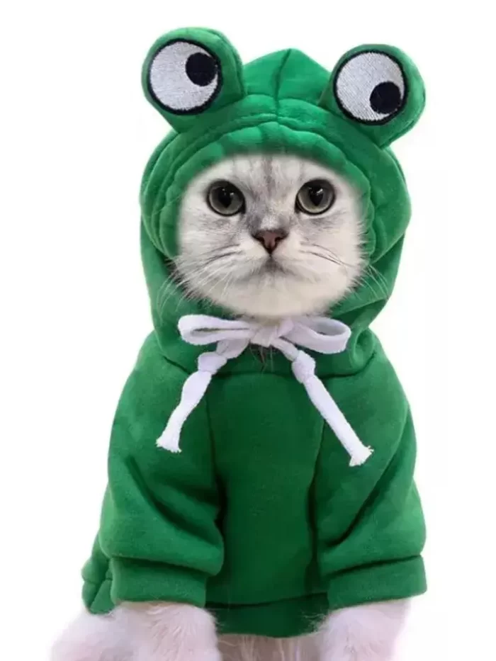 Roupa de Frio para Pet