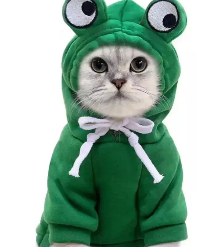 Roupa de Frio para Pet