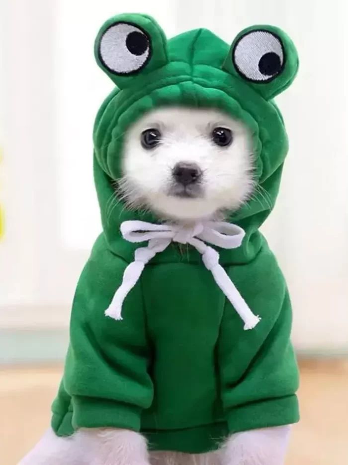 Moletom Pet Sapinho para Cachorro e Gato: Roupa de Frio para Pet - Image 4