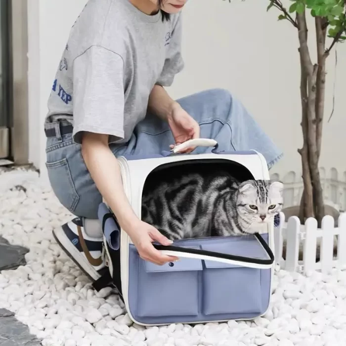 Bolsa de Transporte Pet para Viagem: Mochila Cabine Avião para Cachorros e Gatos até 13kg - Image 3