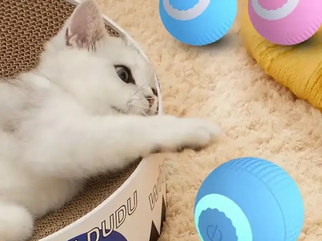 bola inteligente para gatos​

