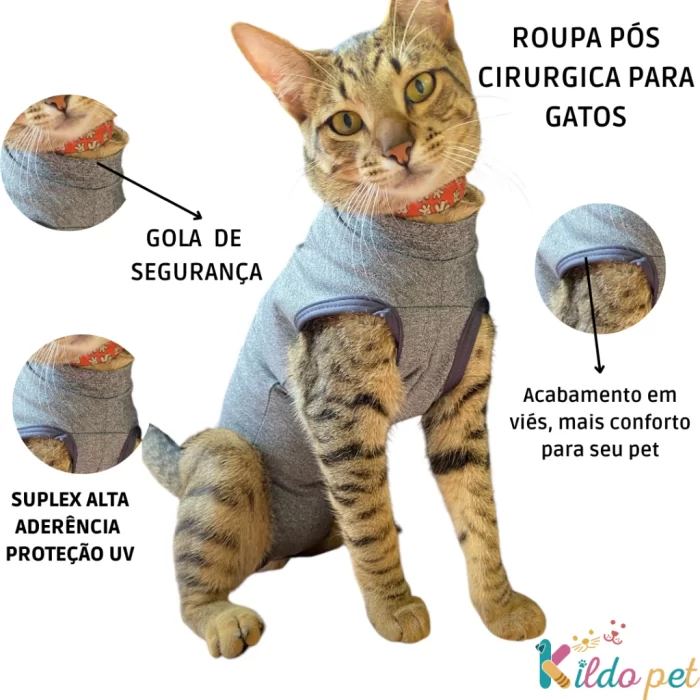 Castração para gato