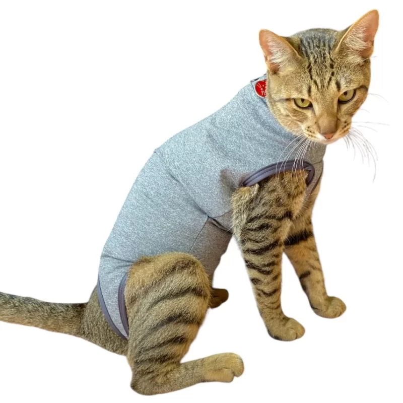 roupa cirurgica para gato​
