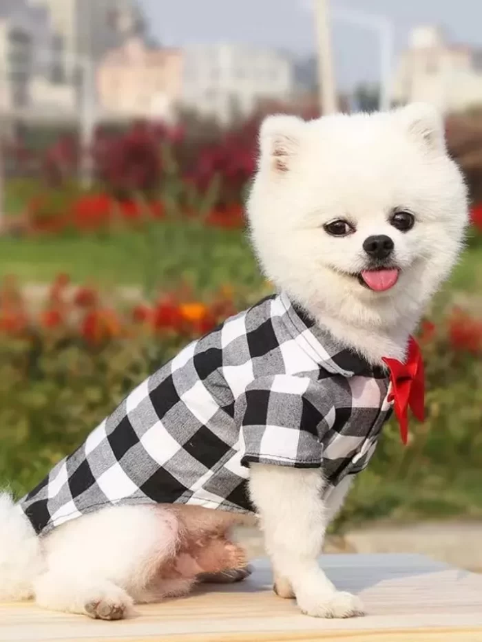 Conforto e Charme na Blusa Xadrez com Gravata para Pets