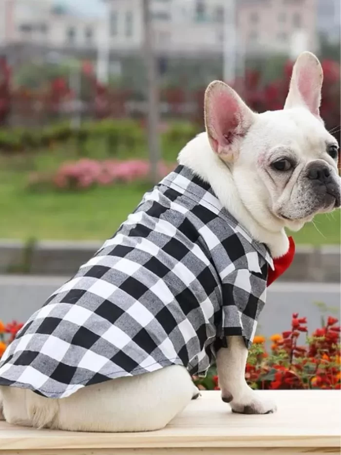 Blusa Xadrez com Gravata: Estilo e Conforto para Pets