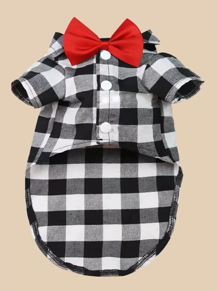 Moda Pet Charmosa: Blusa Xadrez com Detalhe de Gravata