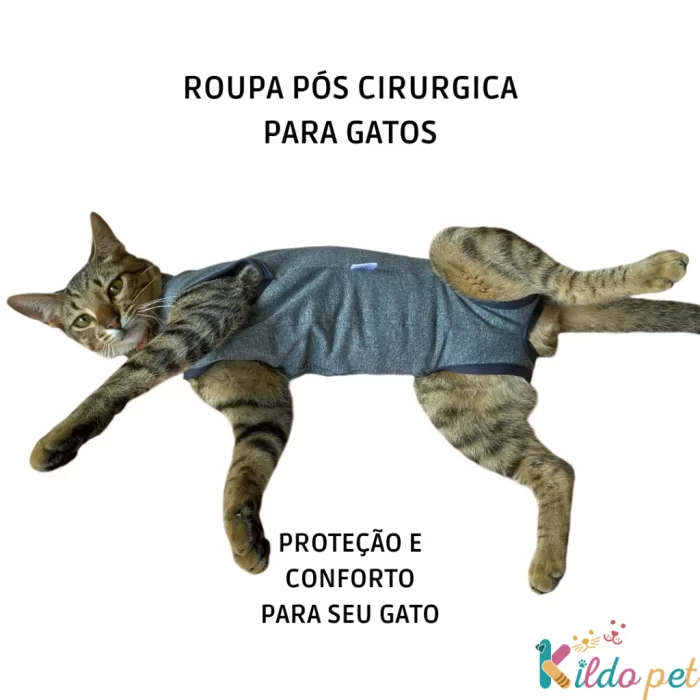 Roupa Cirúrgica para Gato: Conforto e Proteção no Pós-Operatório - Image 2