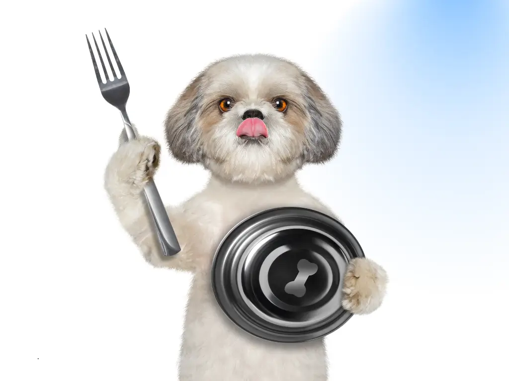 Seu doguinho anda virando o focinho pra ração? Talvez ele só esteja pedindo um pouco mais de sabor no prato! Os alimentos naturais para cachorro podem ser uma alternativa saudável, divertida e super nutritiva pra variar o cardápio. Neste post, você vai aprender como incluir esses alimentos com segurança, o que pode ou não oferecer e como manter o equilíbrio na dieta. Seu pet merece essa novidade no potinho!