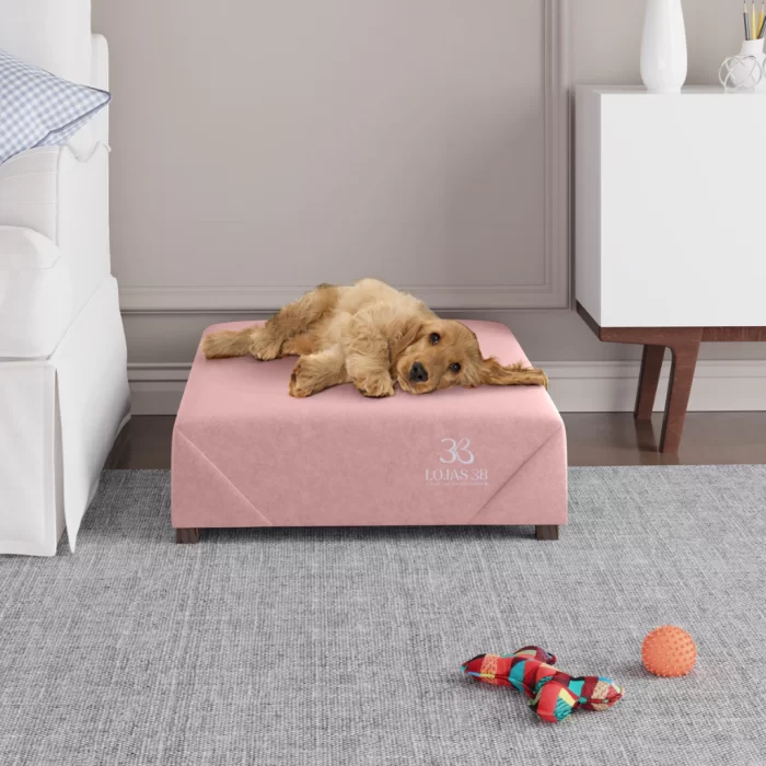 Cama Box Pet