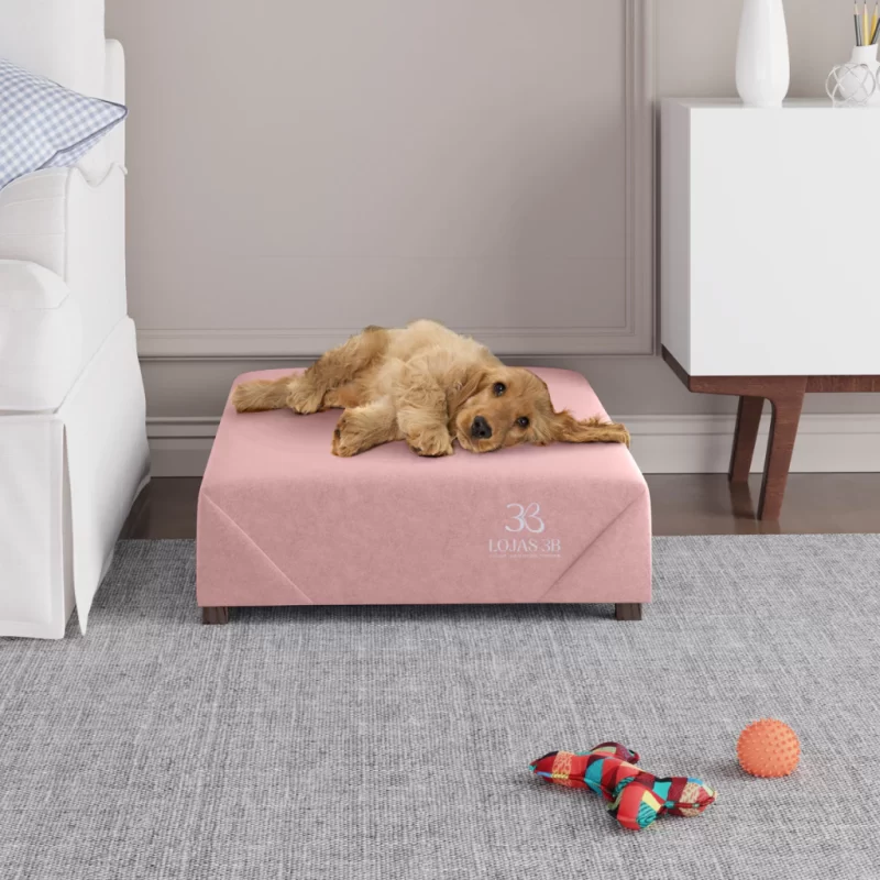Cama Box Pet