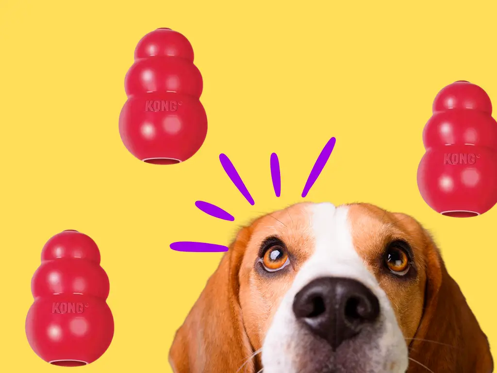 Brinquedo Kong para cachorro