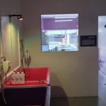 Banho e Tosa Boqueirão Praia Grande