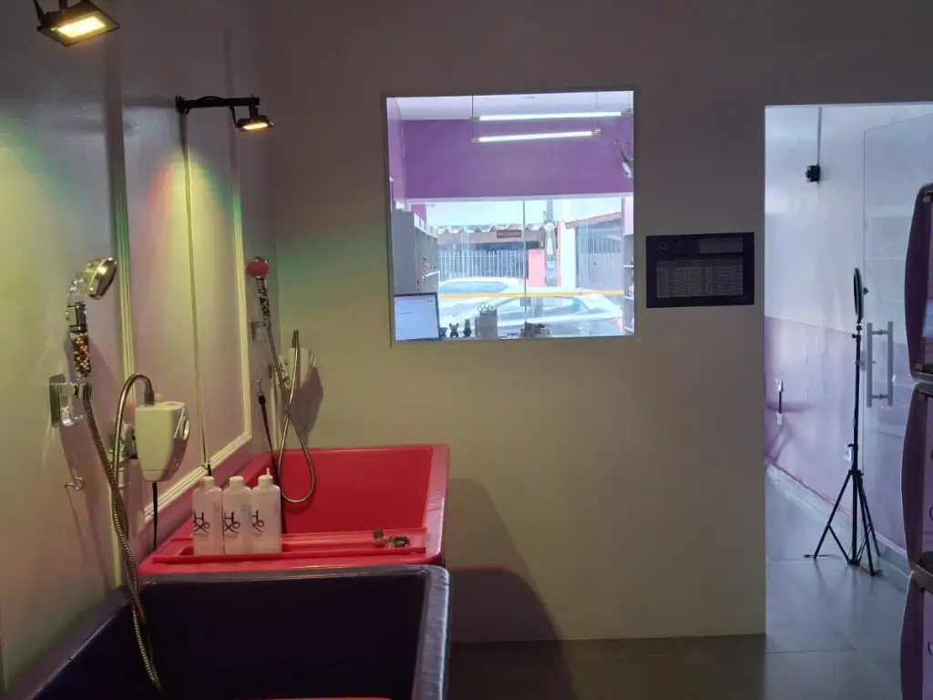 Banho e Tosa Boqueirão Praia Grande